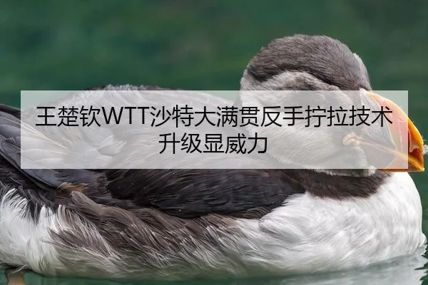 王楚钦WTT沙特大满贯反手拧拉技术升级显威力