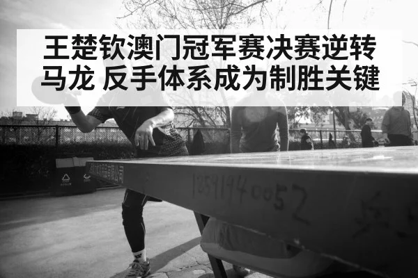 Ma Long table tennis