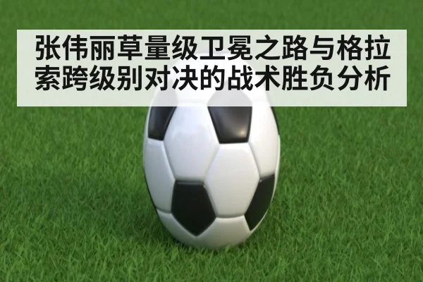 张伟丽草量级卫冕之路与格拉索跨级别对决的战术胜负分析